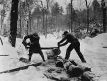 Cutting Firewood at Side Camp in Magalloway Township, Maine (1939)